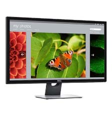 dell Monitor